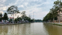 con dau net tho mong cua ho nguyen du