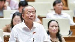 dong thue cham bi phat thi cung phai phat hoan thue cham