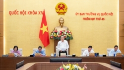 thuong vu quoc hoi sap hop cho y kien ve de an sap nhap tinh xa