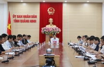 Quảng Ninh yêu cầu FLC báo cáo vị trí xây trường đại học gần 4.000 tỷ đồng