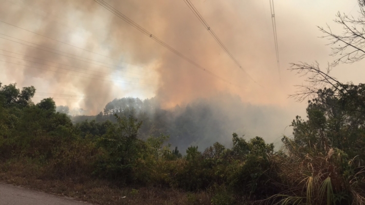 lo thieu dien evn bao cao thu tuong