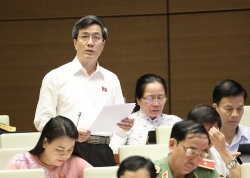 don dai bang fdi cung khong nen quen chim se trong nuoc