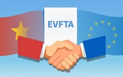 Hiệp định EVFTA sẽ có hiệu lực từ 1/8/2020