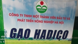 Hơn 1.900 doanh nghiệp nợ thuế ở Hà Nội