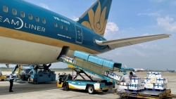 Vietnam Airlines bố trí riêng một siêu máy bay chở vải thiều Bắc Giang vào TP HCM