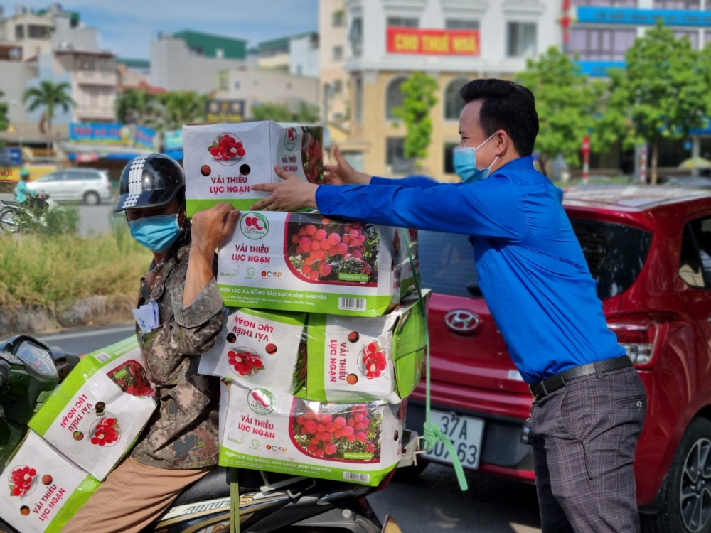 Chi đoàn Báo Tuổi trẻ Thủ đô kết nối, hỗ trợ tiêu thụ vải thiều Bắc Giang