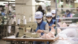 “Liều thuốc quý” trợ lực giúp doanh nghiệp vượt “bão” Covid-19