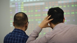 VAFI đề xuất thanh tra việc thổi giá chứng khoán, doanh thu lợi nhuận giả