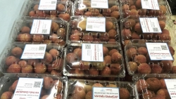Nông sản Việt Nam lần đầu xuất khẩu sang Châu Âu nhờ bán “online”