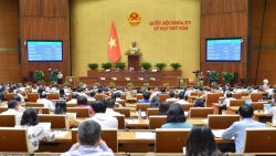 Quốc hội thông qua Luật Đấu thầu (sửa đổi)