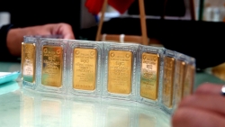 Giá vàng SJC rơi tự do