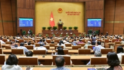 Năm 2025, Quốc hội sẽ giám sát tối cao về môi trường