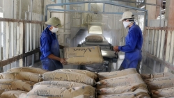 Khó khăn bủa vây Tổng công ty Xi măng Việt Nam