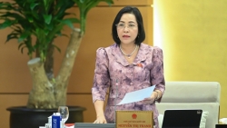 hang gia hang nhai nhieu nhung chua co co quan nao chiu trach nhiem