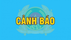 canh bao thu doan thue nguoi viet lap cong ty de rua tien cho lua dao