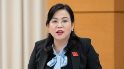 hoa qua ngam hoa chat den ruoi nhang con khong muon bau vao