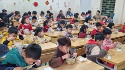 ha noi du chi hon 3000 ty ho tro bua trua cho hoc sinh tieu hoc