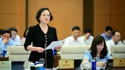 de xuat quoc hoi thong qua nghi quyet ve sap nhap tinh som hon