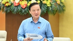 co dai bieu quoc hoi chuyen trach 3 4 chuc danh nhung khong biet bo nhiem khi nao