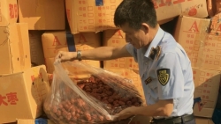 ha noi kiem tra dot xuat phat hien hon 4 tan tao do nhap lau