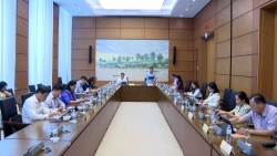 de nghi quy dinh so luong pho truong doan dai bieu quoc hoi sau sap nhap tinh