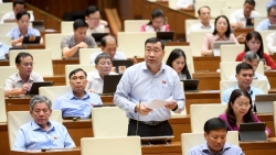 can chinh sach dac biet ve von thue cho trung tam tai chinh quoc te