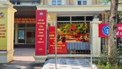 chu tich tinh co quyen tam dinh chi chu tich pho chu tich ubnd xa