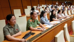 Miễn thuế thu nhập với nhân lực công nghiệp công nghệ số chất lượng cao