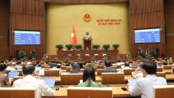 Người nổi tiếng, người có ảnh hưởng không bị hạn chế quảng cáo