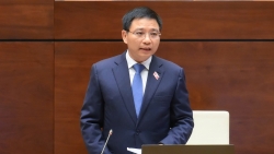 ho kinh doanh dong cua hang loat do so hang gia khong phai do chinh sach thue