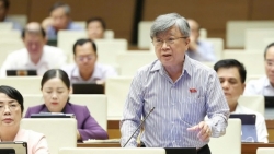 bao luc hoc duong la su bat luc cua cai thien