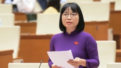 hiem hoa lau dai khi cai gia len ngoi cai that bi day lui