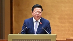 khuyen khich cac to chuc doanh nghiep dau tu du an duong sat