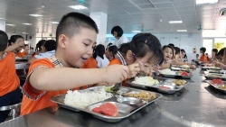 Bài 1: Nguồn lực nuôi dưỡng tương lai từ sự chỉ đạo nhân văn