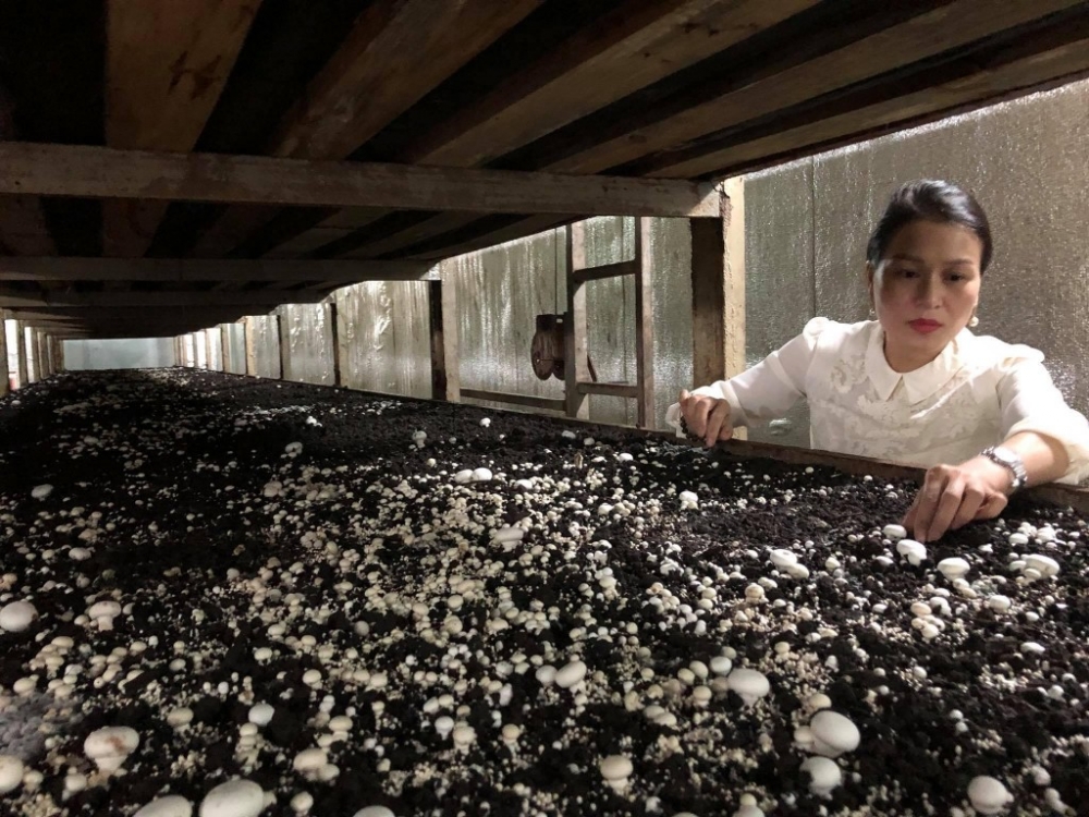 ĐÒN BẨY ĐÃ CÓ, CẤT CÁNH THÔI!