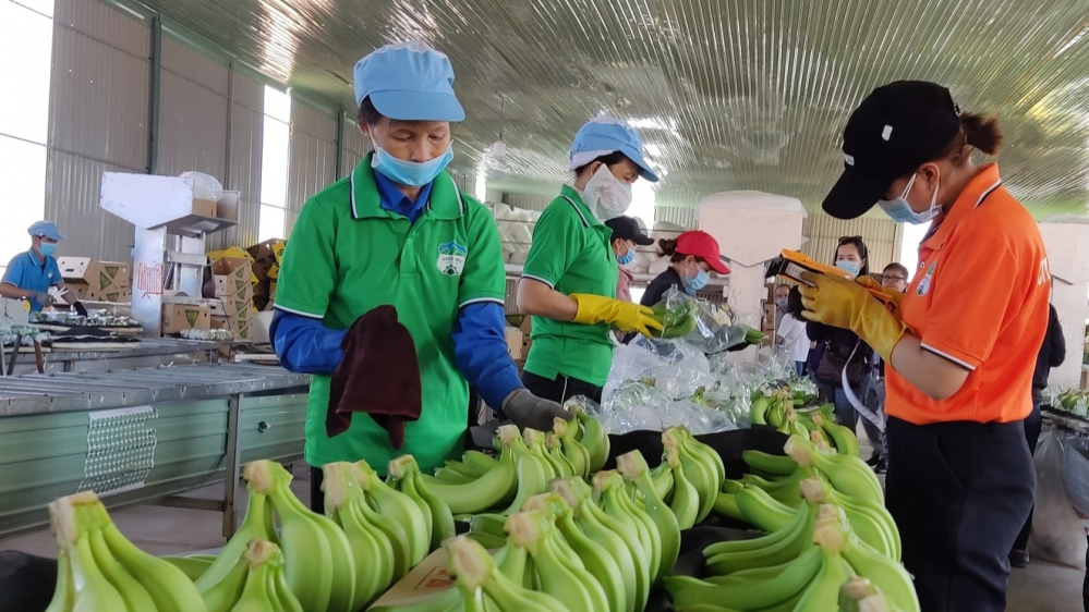 bai 1 dang mo loi trao don bay
