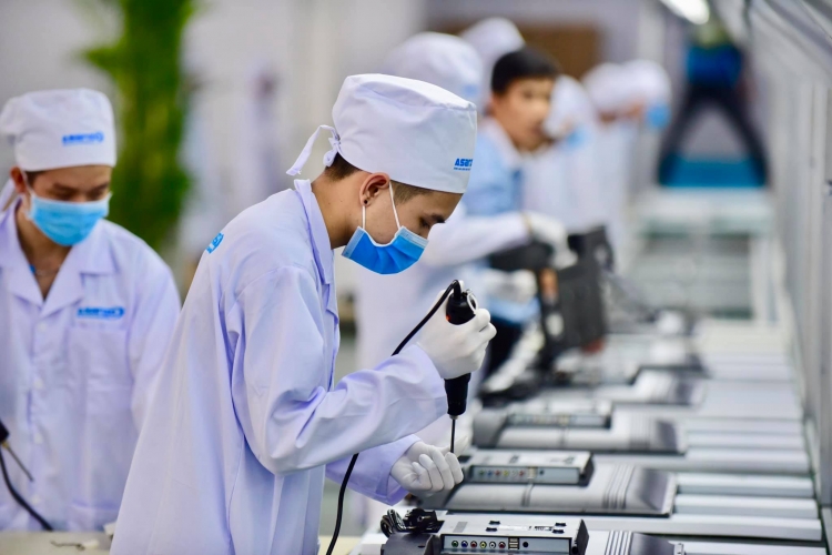 vu asanzo van dang ra soat chua co ket luan dung sai