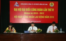 ha noi hang tram doanh nghiep no thue no tien su dung dat