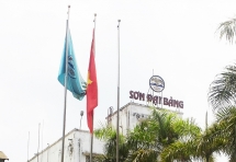 Doanh nghiệp sở hữu thương hiệu Sơn Đại Bàng bị phạt 350 triệu đồng