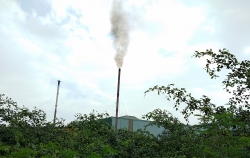 hung yen doanh nghiep bi phat nang vi vi pham nghiem trong ve moi truong