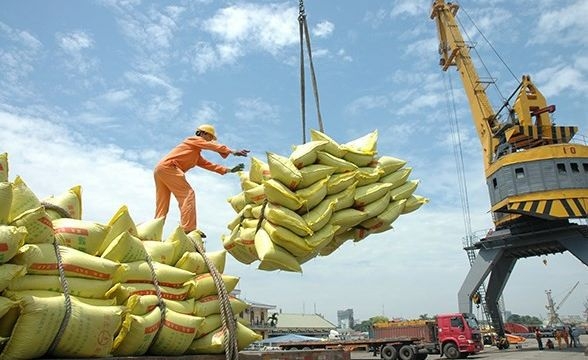 Việt Nam giữ vững vị thế nhà cung cấp gạo hàng đầu của Philippines