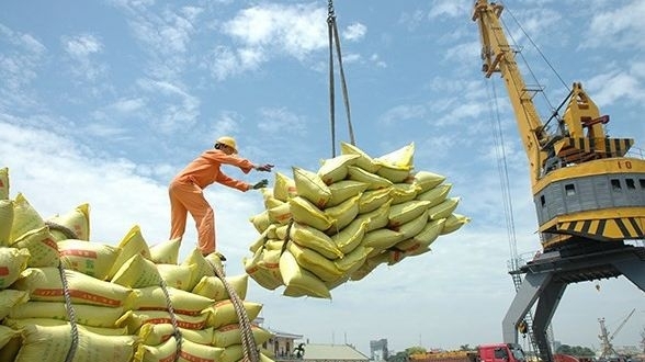 Việt Nam giữ vững vị thế nhà cung cấp gạo hàng đầu của Philippines