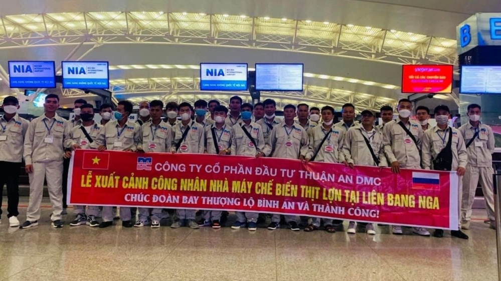 Hàng loạt doanh nghiệp xuất khẩu lao động bị xử phạt, rút giấy phép