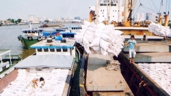Bộ Công thương khuyến nghị doanh nghiệp về lệnh cấm xuất khẩu gạo của Ấn Độ