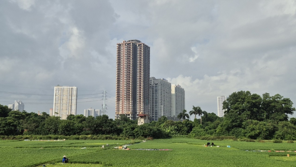 Hà Nội: Dự án QMS Top Tower bất ngờ chào bán căn hộ sau nhiều năm “bất động”