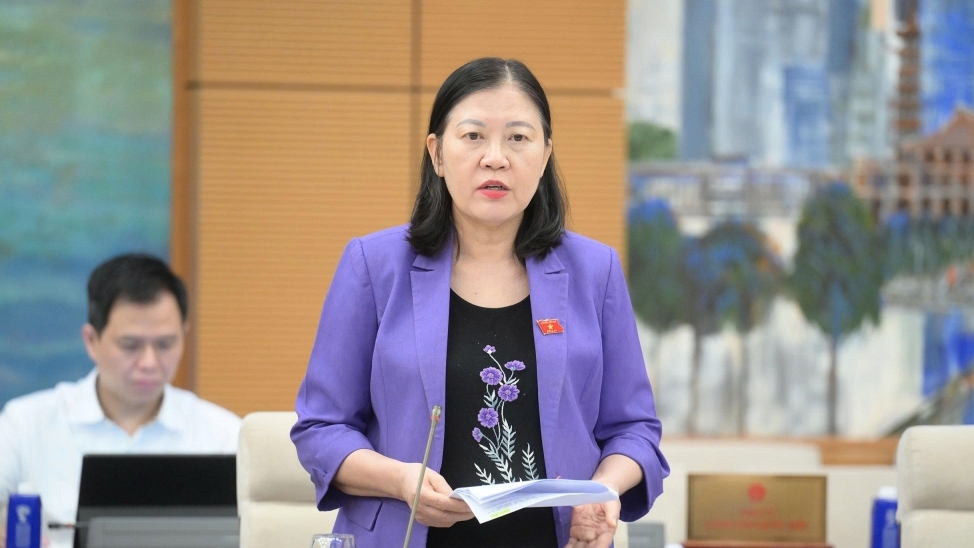 Cử tri và Nhân dân lo ngại hàng lậu, hàng giả “lộng hành”