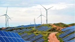 coi troi cho 173 du an nang luong tai tao khong the be tre hon duoc nua