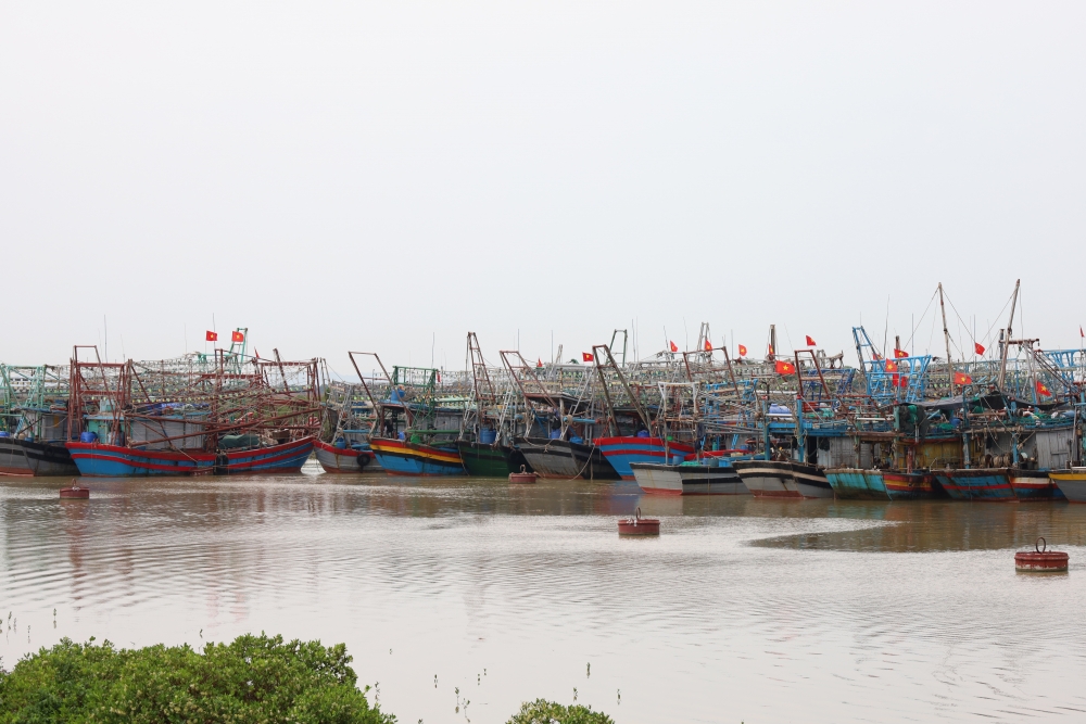 Thanh Hóa: Xã Hoa Lộc chủ động, sẵn sàng lực lượng ứng phó với bão số 3