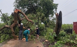 xa duong hoa khong de bi dong trong phong chong bao so 3