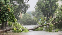 bao so 3 chinh thuc vao dat lien nhieu noi nguy co lu quet sat lo dat